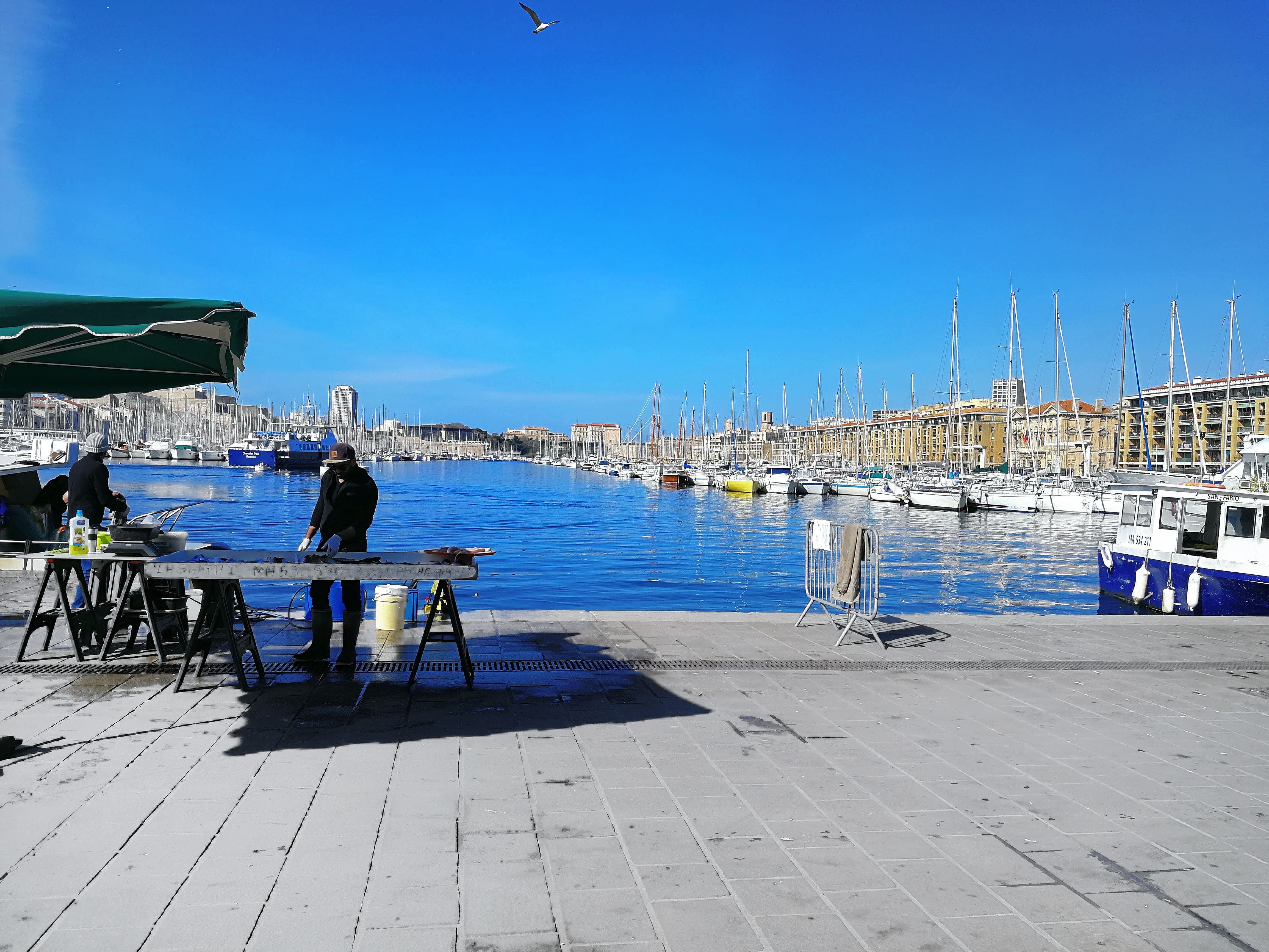 Sortir à Marseille : Guide Ultime 2026 (Quoi Faire, Visiter, Bonnes Adresses)